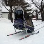 Chariot CX-1 Child Carrier thumbnail