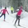 14 Sadie Kate Fitzgerald thumbnail