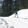 dunklee back thumbnail