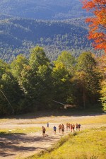 About 25 elite nordic skiers did maximal-intensity, ski-bounding intervals up Whiteface Mountain on Tuesday as part of the U.S. Ski Team Elite Camp in Lake Placid, N.Y.