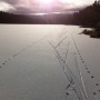 Dan Reimer — Pumphouse Lake, Whitehorse, Yukon. thumbnail