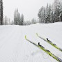 Julien Locke — Black Jack Cross Country Ski Club, British Columbia. thumbnail