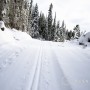 Julien Locke — Black Jack Cross Country Ski Club, British Columbia. thumbnail