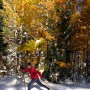 Mark Nadell — Tahoe Donner Cross Country, Truckee, California. thumbnail