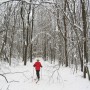 Naomi Jarvis — Laurel Ridge State Park, Rockwood, Pennsylvania. thumbnail