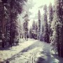 Peter Neal — East Burke, Vermont. thumbnail
