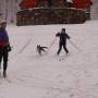 Tom Thurston — Waterbury, Vermont. thumbnail