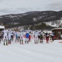 IMG_4246 thumbnail