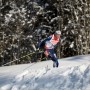Nordgren011813cm133 thumbnail