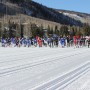 IMG_4437 thumbnail