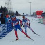 boeuf malyshko thumbnail