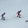svendsen fourcade side thumbnail