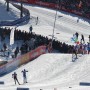IMG_0951 thumbnail