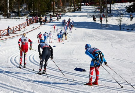 Kikkan Randall (USA), wearing bib 8, during the 10 k mass start classic race on Saturday in Falun, Sweden. She led the U.S. with a 19th-place finish. Photo: Fischer/Nordic Focus/FIS Cross Country.