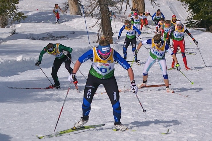 Kikkan Randall leads Sweden's Lisa Larsen (l) and Liz Stephen (r) and the rest of the women in Friday's 10 k classic mass start the first time up the A-climb at 2013 SuperTour Finals at Auburn Ski Club in Soda Springs, Calif.