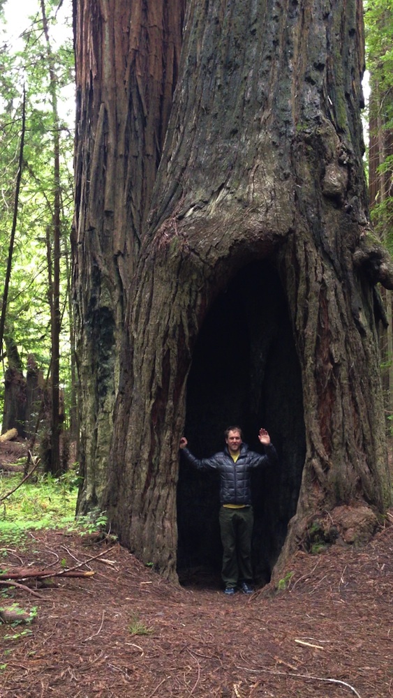 2006 Olympian and former U.S. Ski Team member Leif Zimmermann exploring the redwoods along the Avenue of the Giants in northern California in April. He retired from competitive cross-country skiing this spring. (Courtesy photo)