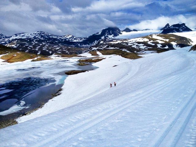  Sognefjell Glacier Skiing!  (All photos courtesy of Kate Barton and Koby Gordon)