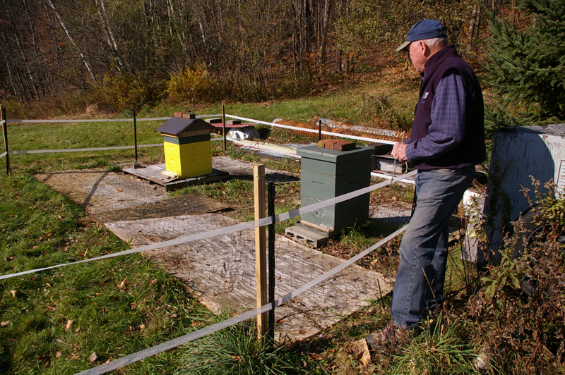 Gallagher checking on the beehives in November 2011 at his home in Pittsfield, Vt. Seventy years old at the time, he said he spent most of his time gardening and mowing nine acres of his 50-acre property.