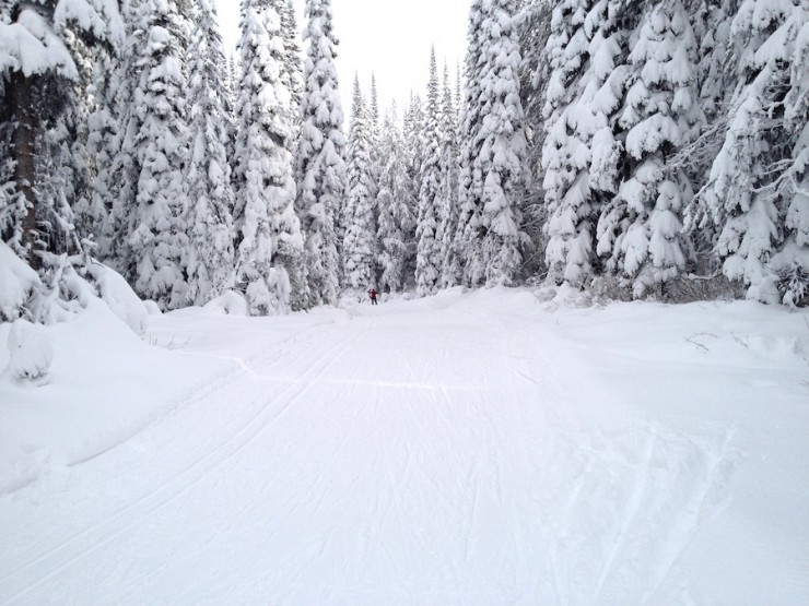 Less crowded away from the stadium at the Sovereign Lake Nordic Centre on Nov. 9.