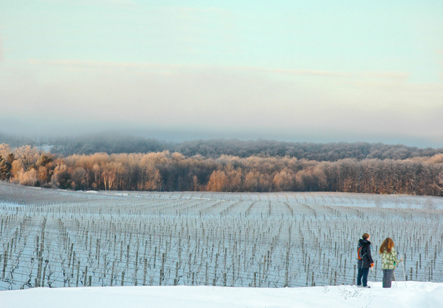 Traverse City Introduces Wine Country Touring on Skis and Showshoes.