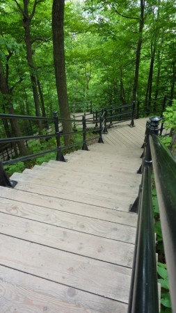 Mont Royal's 260 stairs are a great place to work on technique and L3/threshold intervals.