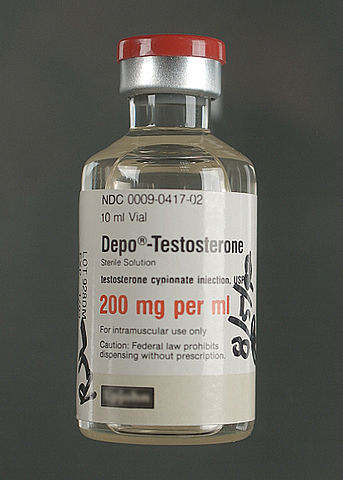 Testosterone can have long-lasting effects on muscle cells. Photo: wikimedia commons.