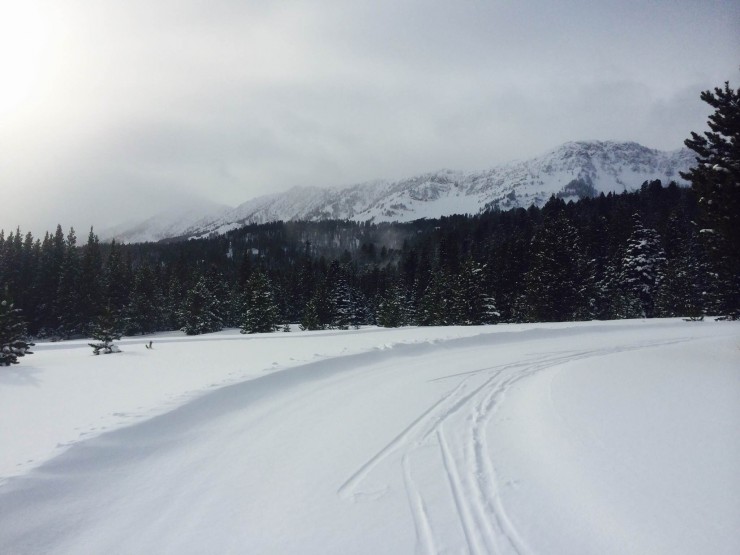 Fresh tracks this winter at Bohart ranch near Bozeman, Mont. (Photo: Mark Vosburgh)