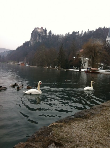 The lake in Slovenia with a castle in the background. (Photo: Rosanna Crawford)