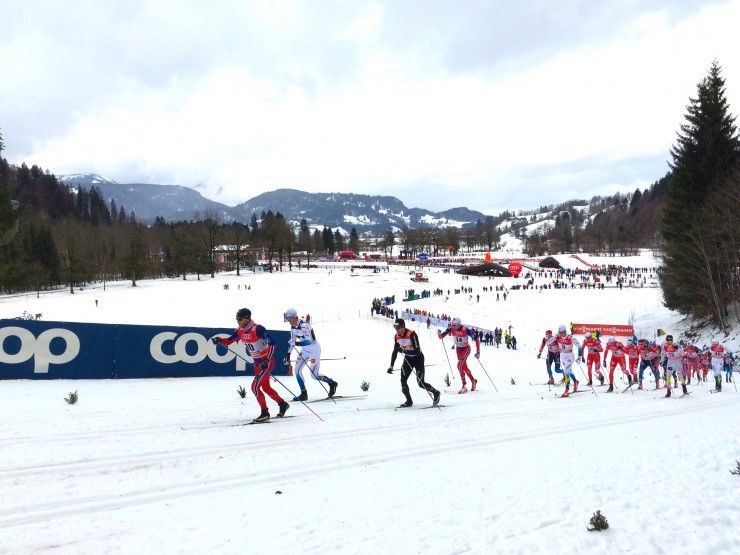 Martin Johnsrud Sundby (NOR) leading Calle Halfvarsson (SWE), Dario Cologna (SUI), and the rest of the Tour de Ski field in Oberstdorf, Germany. Alex Harvey is in bib 13. (Photo: Graham Longford)