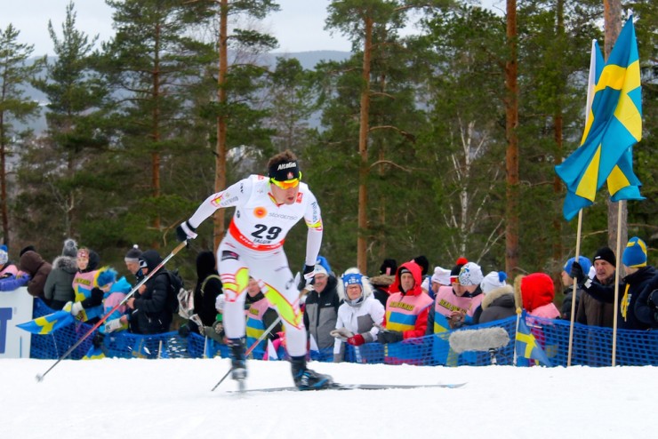Ivan Babikov (Canadian World Cup Team) racing to 20th in the 15 k freestyle at 2015 World Championships in Falun, Sweden. Babikov placed fourth in the event two years ago at World Championships. 