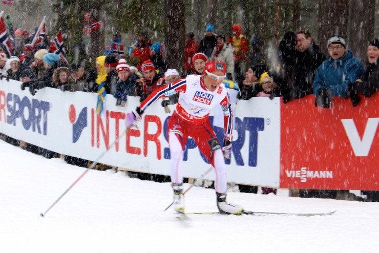 Norway's Therese Johaug racing up "little" Mördarbacken early in the women's 10 k freestyle individual start at 2015 World Championships in Falun, Sweden. She went on to place 27th in the 10 k skate for her first non-top 10 at a World Championships. 