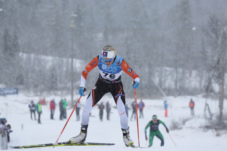 Norway's Therese Johaug pushes through heavily falling snow on Saturday to win the 7.5 k freestyle at the FIS season opener in Beitostølen, Norway. She won Friday's 7.5 k classic race as well. (Photo: Eirik Lund Røer/SKIsport)