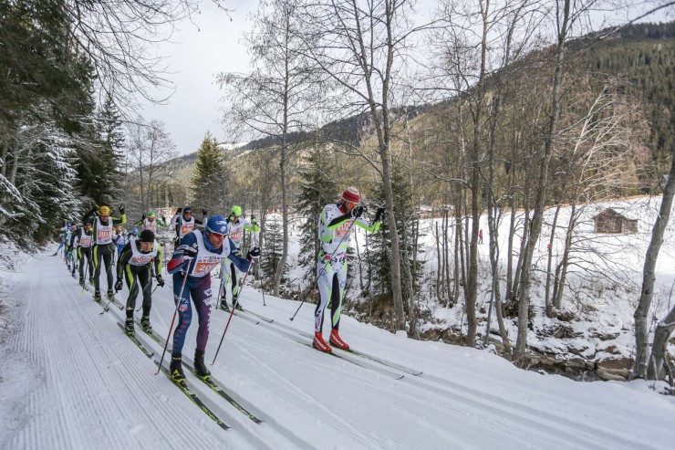 American Andy Newell (l) and Austria's Stefan Sutter in front during the Dolomitenlauf 42 k classic race on Saturday in Lienz, Austria. (Photo: Fischer/NordicFocus) 