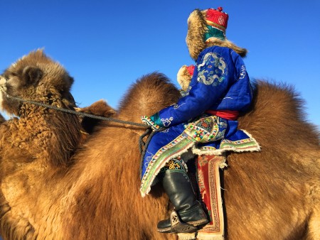 Competitors at this year's China Tour de Ski spent their post-race recovery watching and riding camels in  Xiwuqi, Inner Mongolia. (Photo: Courtesy photo from Koos) 