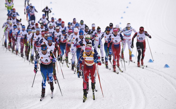Finland's Krista Parmakoski (l) and Norway's Therese Johaug (r) leading the pack early in the women's 15 k skiathlon at the World Cup in Lahti, Finland. (Photo: Fischer/NordicFocus)