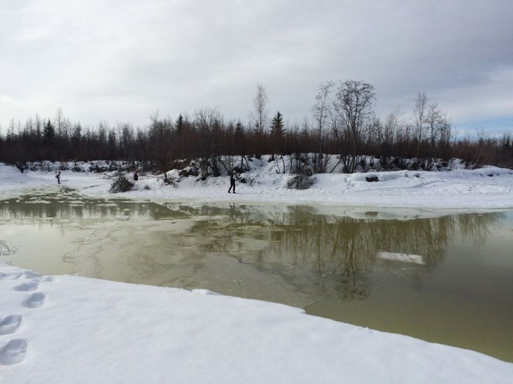 Overflow on the surface of the Chena River, following a partial breakup of the Chena River in Fairbanks, Alaska, on March 26, 2016.  The groomed trail originally went through the foreground of this picture.  Two skiers can be seen in the background safely detouring around the overflow on the established detour route. (Photo: Stella Wisner)
