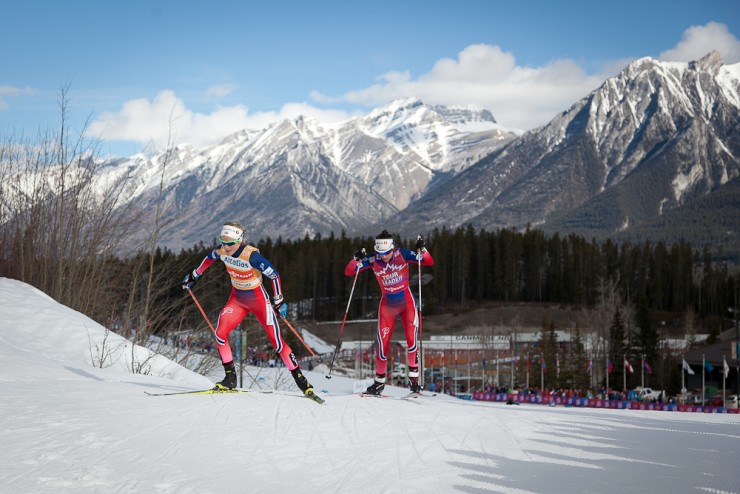 Therese Johaug of Norway leads Norwegian teammate Heidi Weng on the climb out of the stadium during the women's 15 k skiathlon on Wednesday in Canmore Alberta.