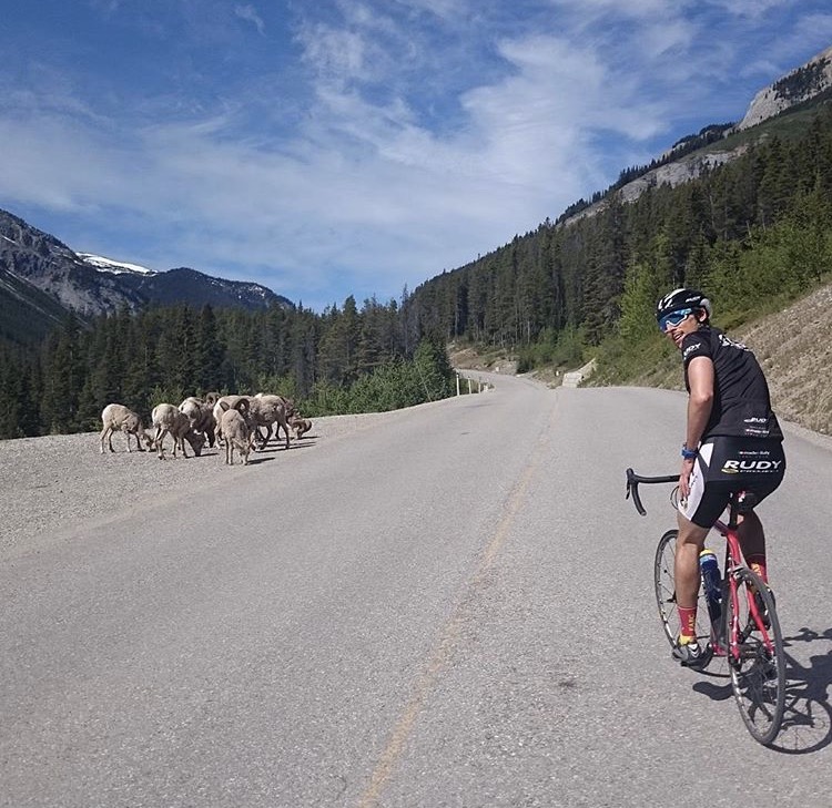 Biathlon Canada's Brendan Green making friends with some sheep during a road bike in the Rockies this summer. (Photo: Scott Gow)
