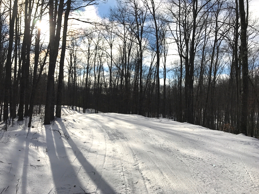 The Birkie trail as seen this past weekend between Cable and Hayward, Wis. (Photo: Vince Rosetta)