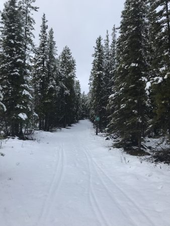 Whitehorse ski trails on October 15th, 2017. Another 5cm is need to set track. (Photo: Alain Masson)