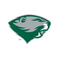 Babson mark
