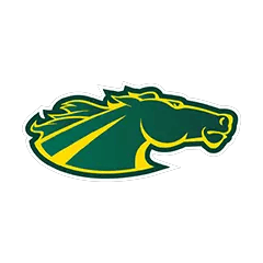Skidmore mark