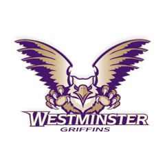 Westminster mark