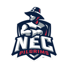 NEC mark
