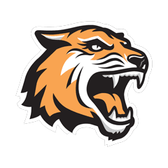 RIT mark