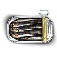 https://fasterskier.com/wp-content/blogs.dir/1/files/2011/02/sardines.jpg