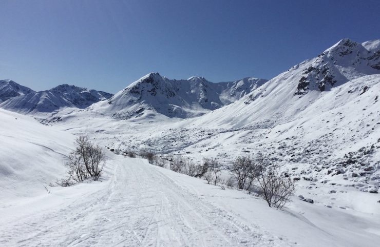 David Norris (APU) and Luke Jager (University of Utah) (very small skiers on trail in background) ski up Archangel Road, Talkeetna Mountains, Alaska, on May 1, 2019. (photo: Gavin Kentch)