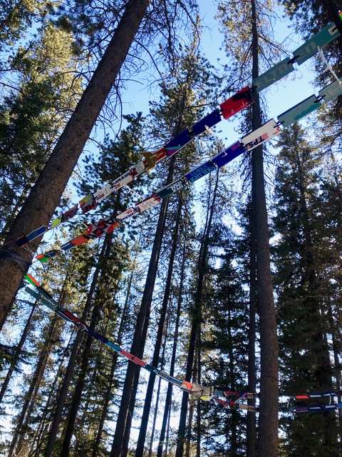 Inspired: Canmore’s 2020 Art Walk in the Woods