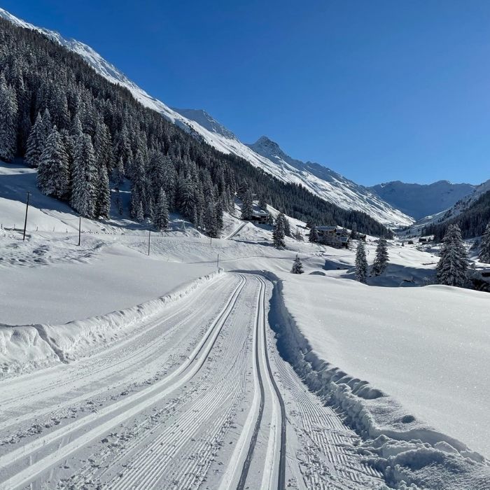 Why Davos is a Top European Cross-Country Ski Destination