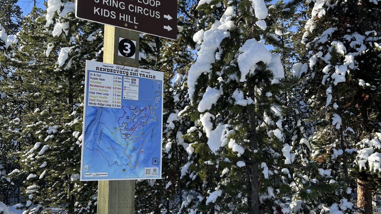 A Happy Holiday: North American Skiers Finding Snowy Trails